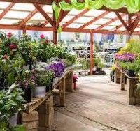 Faizan Nursery Farms - Your One-Stop Plant Shop 🌿🌸
