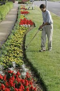 Pattoki Gardening and Landscape – Professional Landscaping & Garden Solutions 🏡