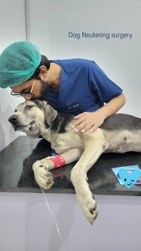 DR ALEE'S PET CLINIC