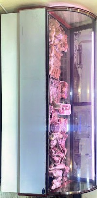 Decent Halal Meet and chicken