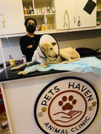 Pets Haven Animal Clinic